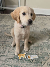 Load image into Gallery viewer, Stay Golden - Cute Golden Retriever Dog Sticker