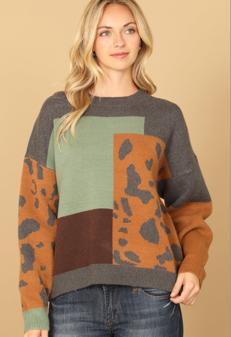 Colorblock fall sweater