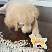 Load image into Gallery viewer, Stay Golden - Cute Golden Retriever Dog Sticker

