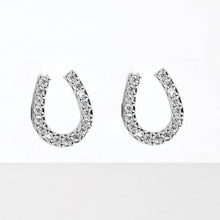 Load image into Gallery viewer, CZ Gold-Dipped Rhinestone Horseshoe Earring
